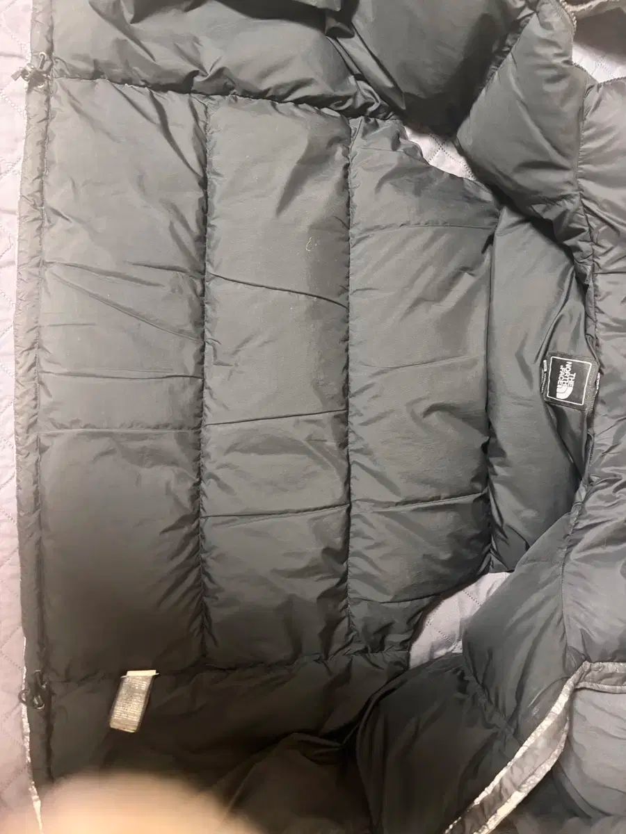 FACE ザノースフェイス