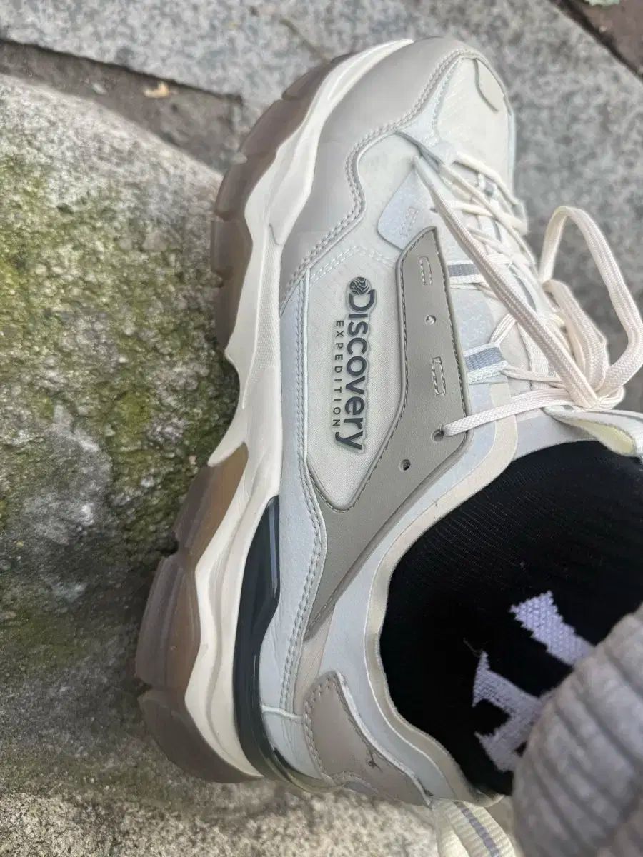 DISCOVERY EXPE DITION スニーカー アイボリー