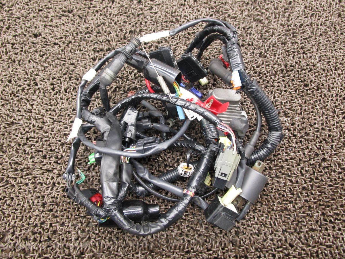 エイプ50 タイプD メインハーネス レギュレター A 7618 イグニッションコイル AC 18 ホンダ 16 E Ape FI Type D 動画有12 V