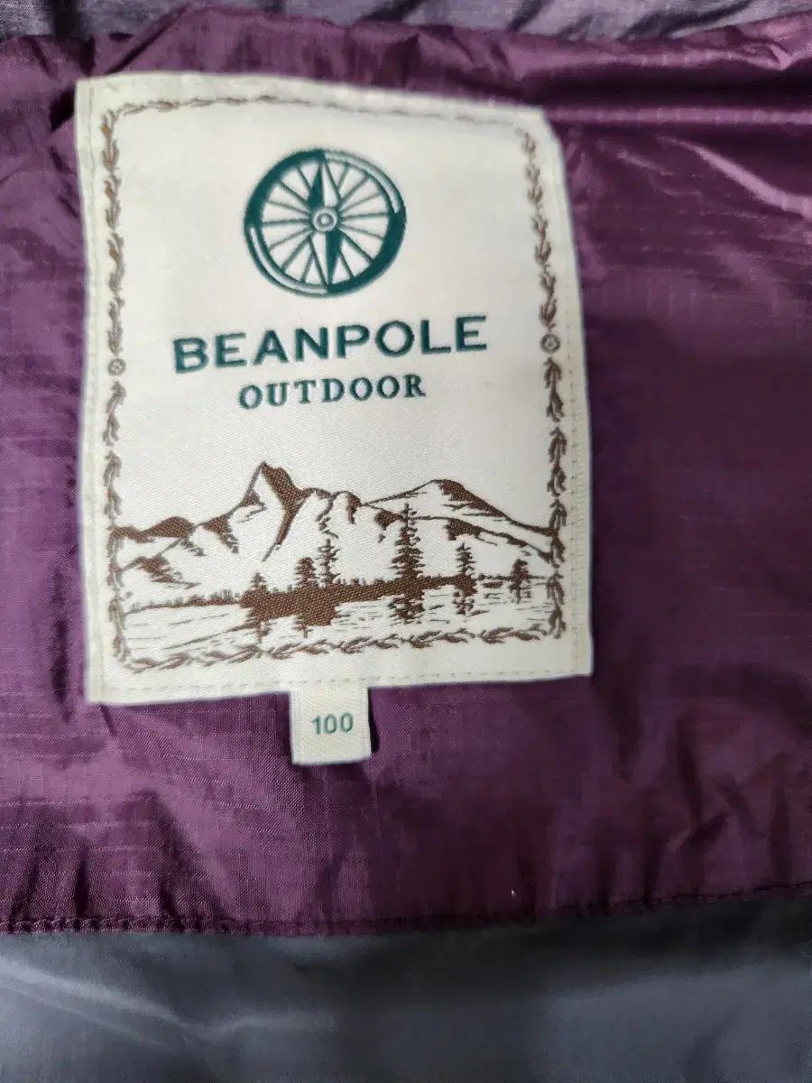 POLE ビーンポール