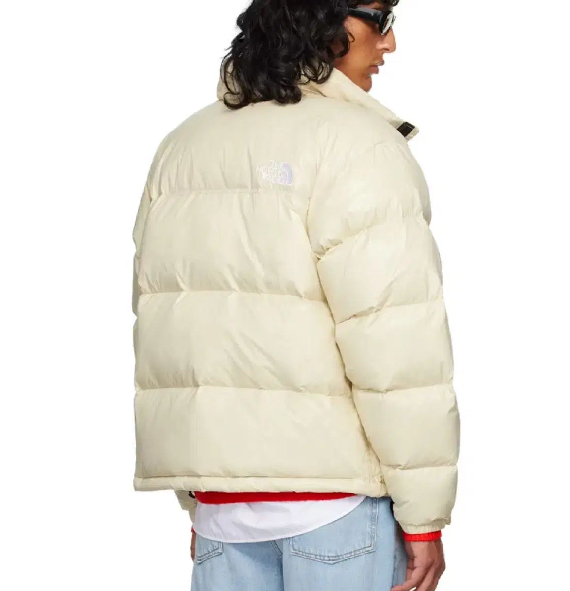 THE NORTH FACE ザノースフェイス レトロ ヌプシ Nuptse ヌプシ 1996 レトロ グレー レイ シャイン M 100