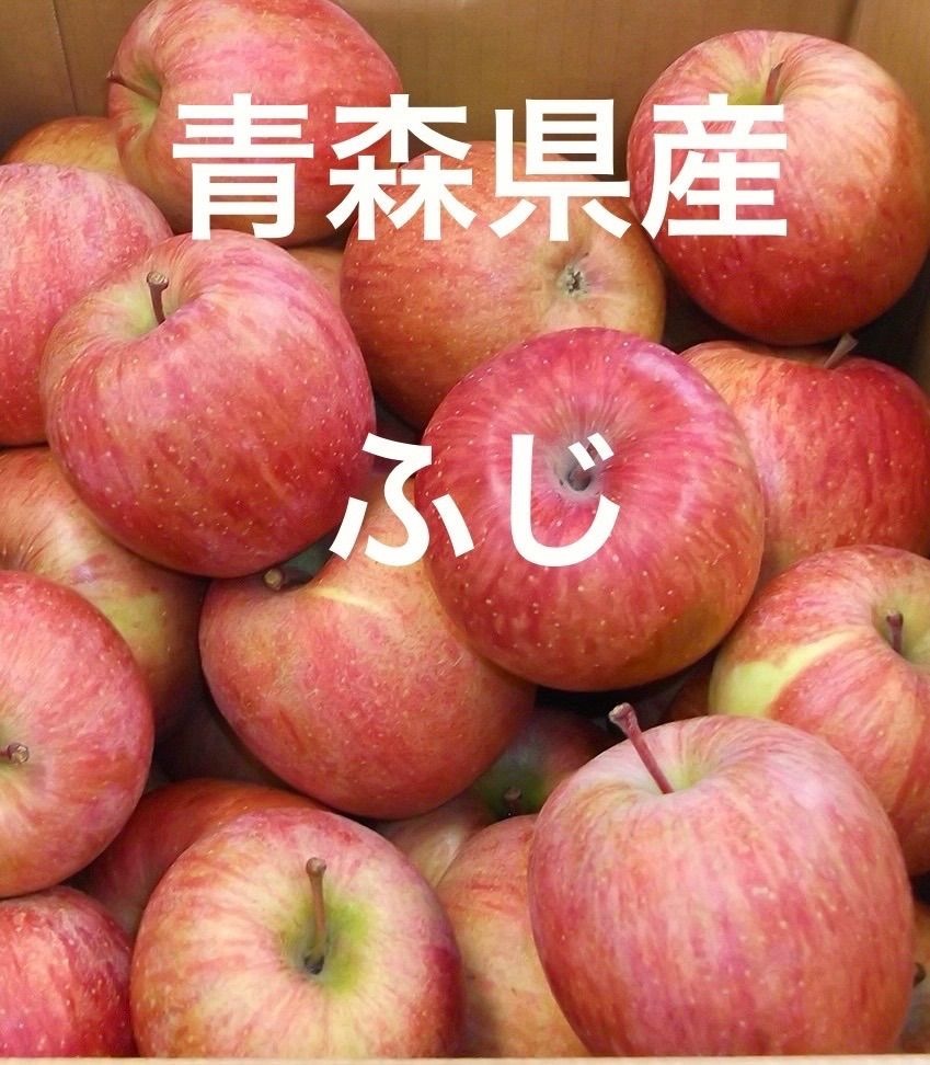 青森県産りんご ふじ5キロ家庭用 - メルカリ