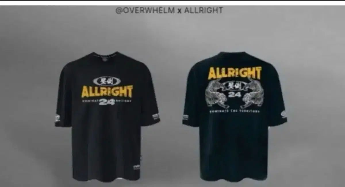 圧倒オールライト コラボ モデル 商品