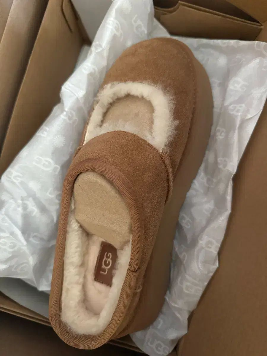 UGG アグ ビア メリージェーン アメリカ 240