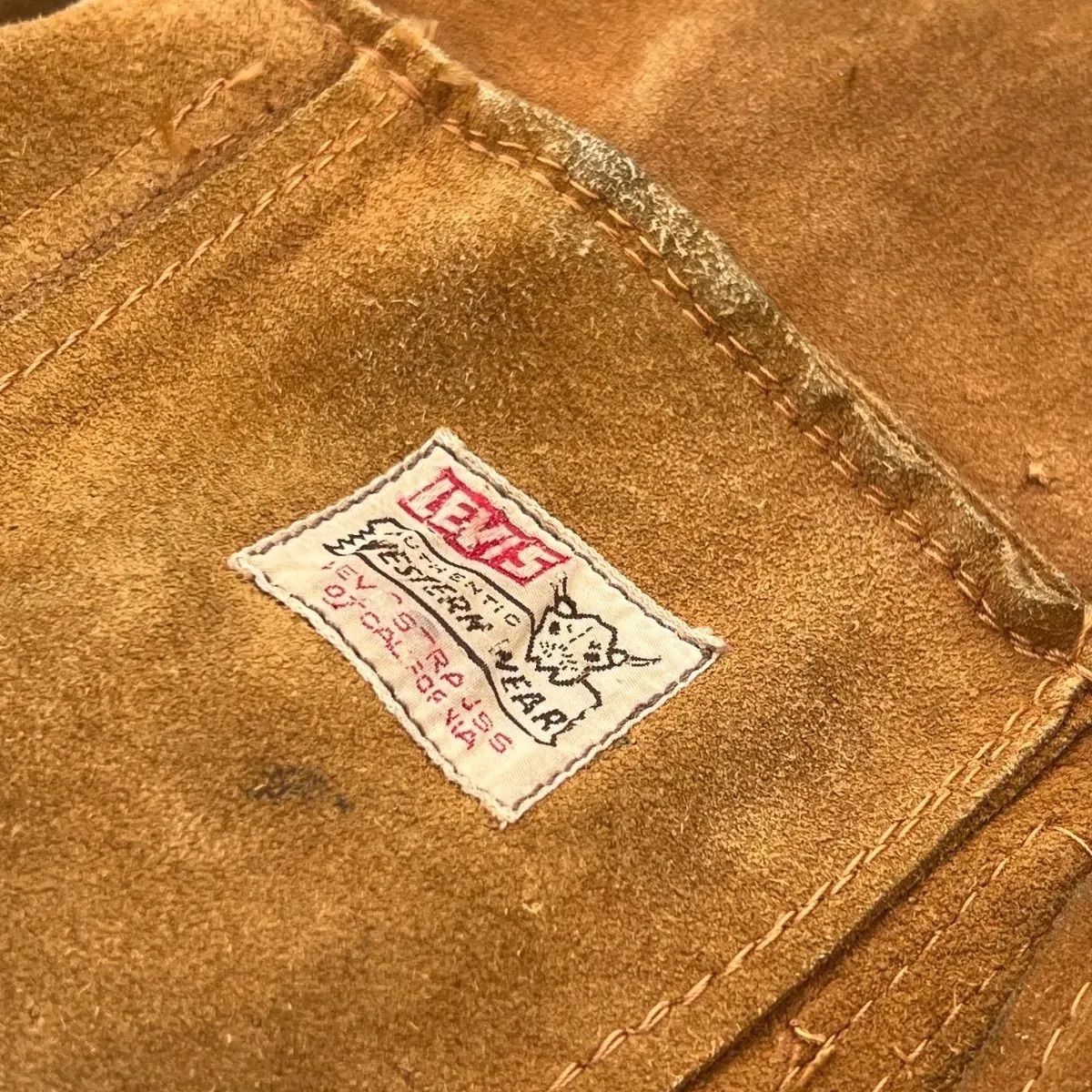 ショートホーン