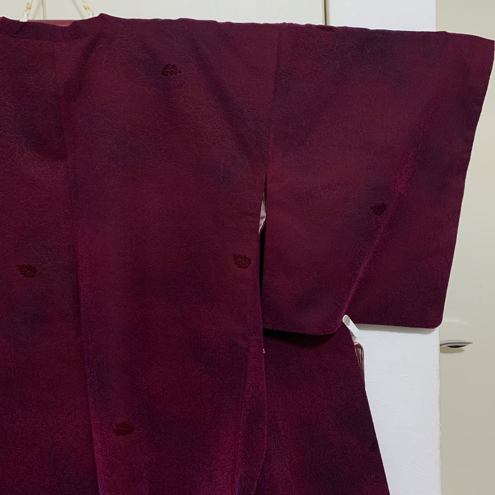 5センチ レディース