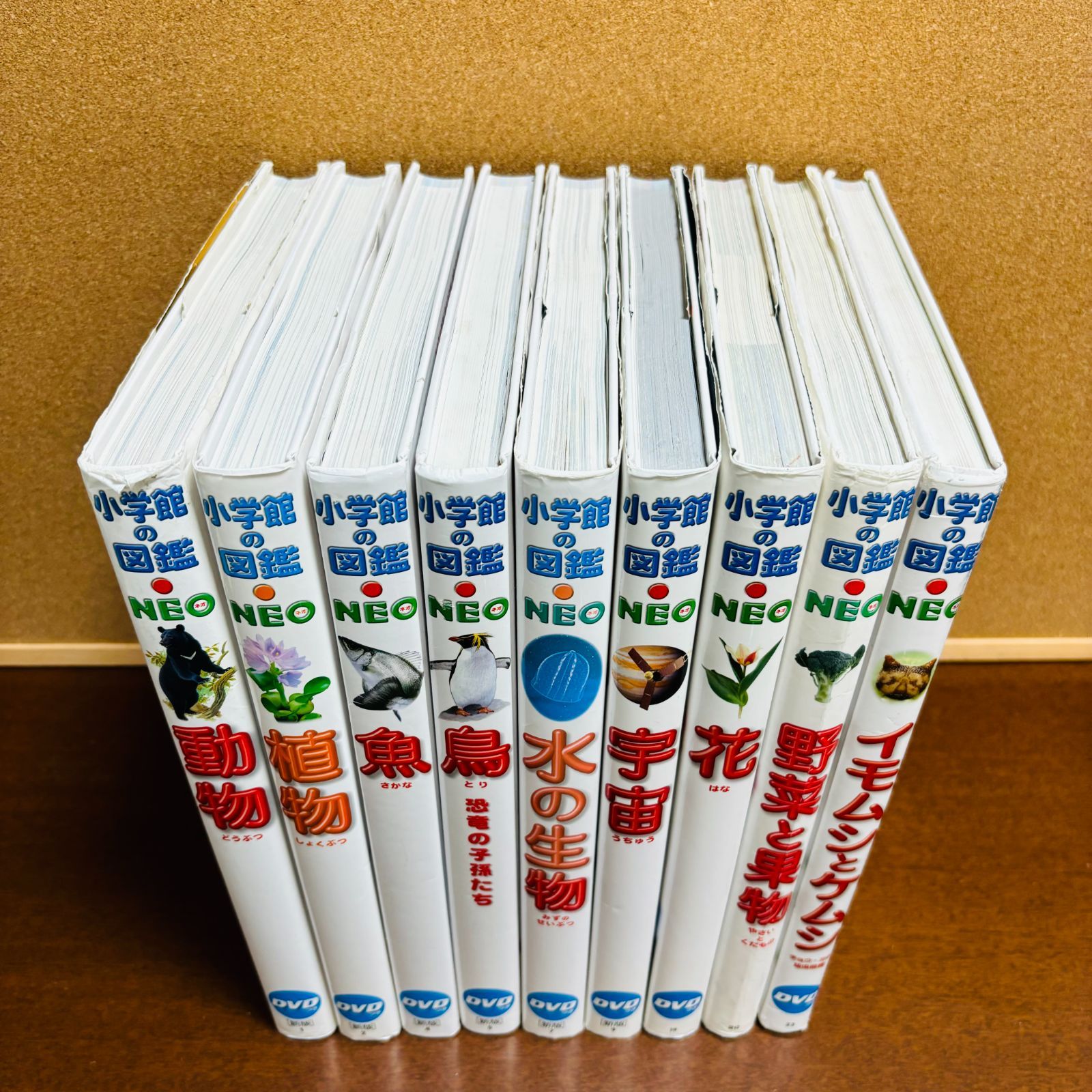 小学館の図鑑 NEO 9冊セット 〔新版 DVDつき多数〕 不可
