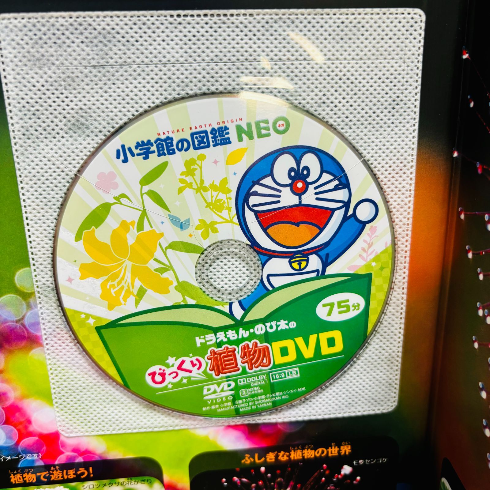 小学館の図鑑 NEOシリーズ 計9冊セット 〔新版、DVDつき多数〕 ※ばら