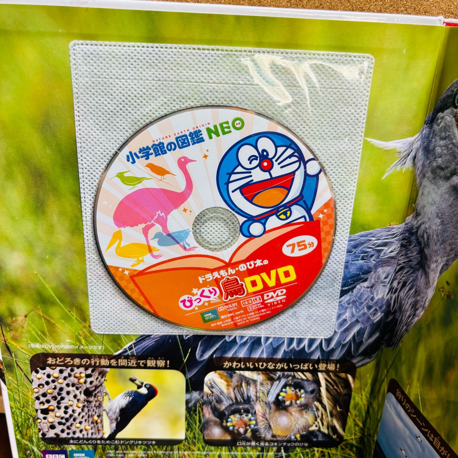 小学館の図鑑 NEOシリーズ 計9冊セット 〔新版、DVDつき多数〕 ※