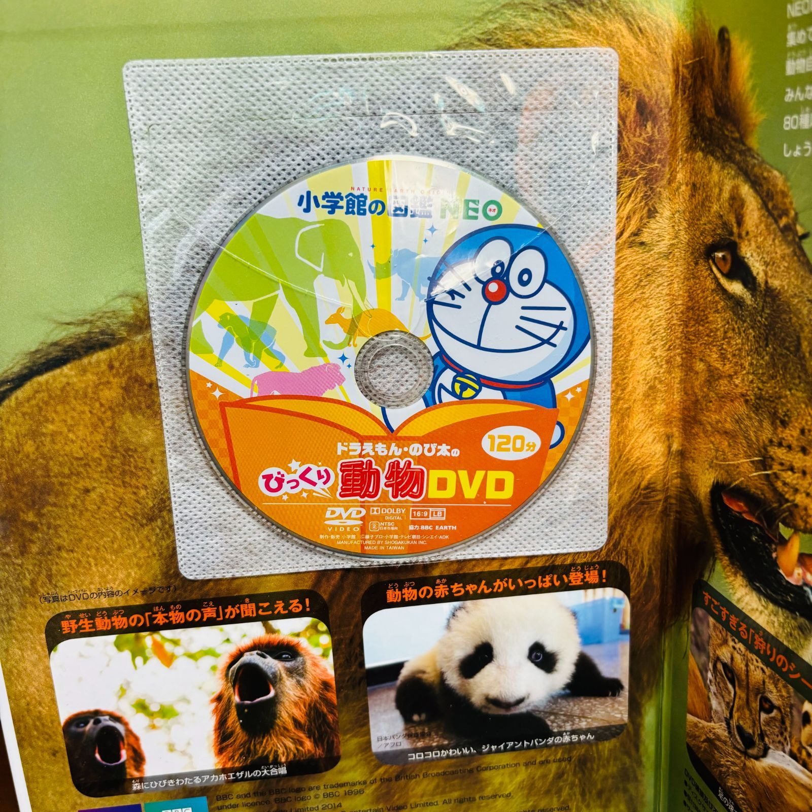 小学館の図鑑 NEOシリーズ 計9冊セット 〔新版、DVDつき多数〕 ※