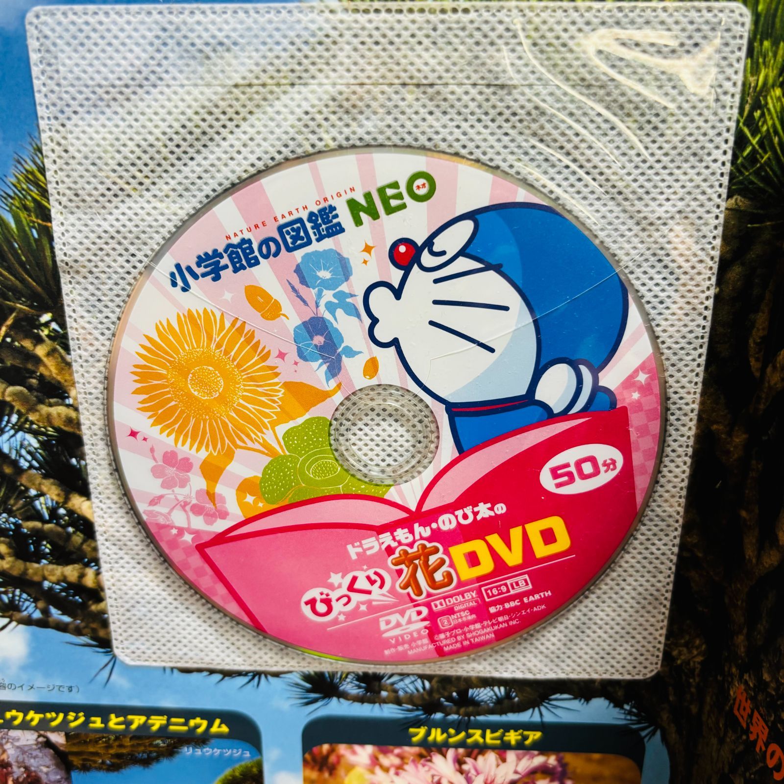 小学館の図鑑 NEOシリーズ 計9冊セット 〔新版、DVDつき多数〕 ※ばら