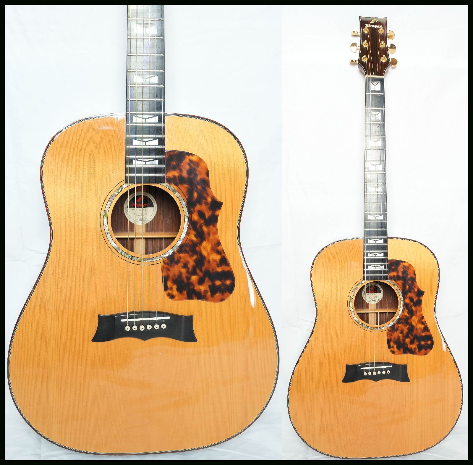 Morris　アコースティックギター Morris Acoustic guitar 特集 = Made in Japan / Hand Made Premium