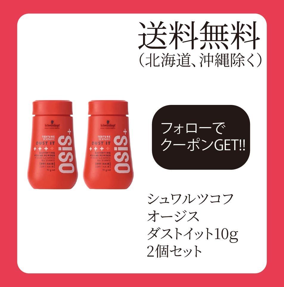シュワルツコフ オージス ダストイット10g 2個セット - メルカリ
