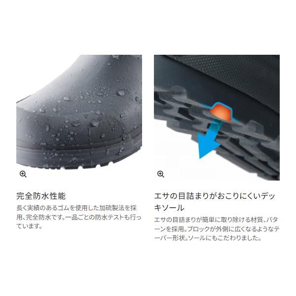 ブラックオレンジ 9月