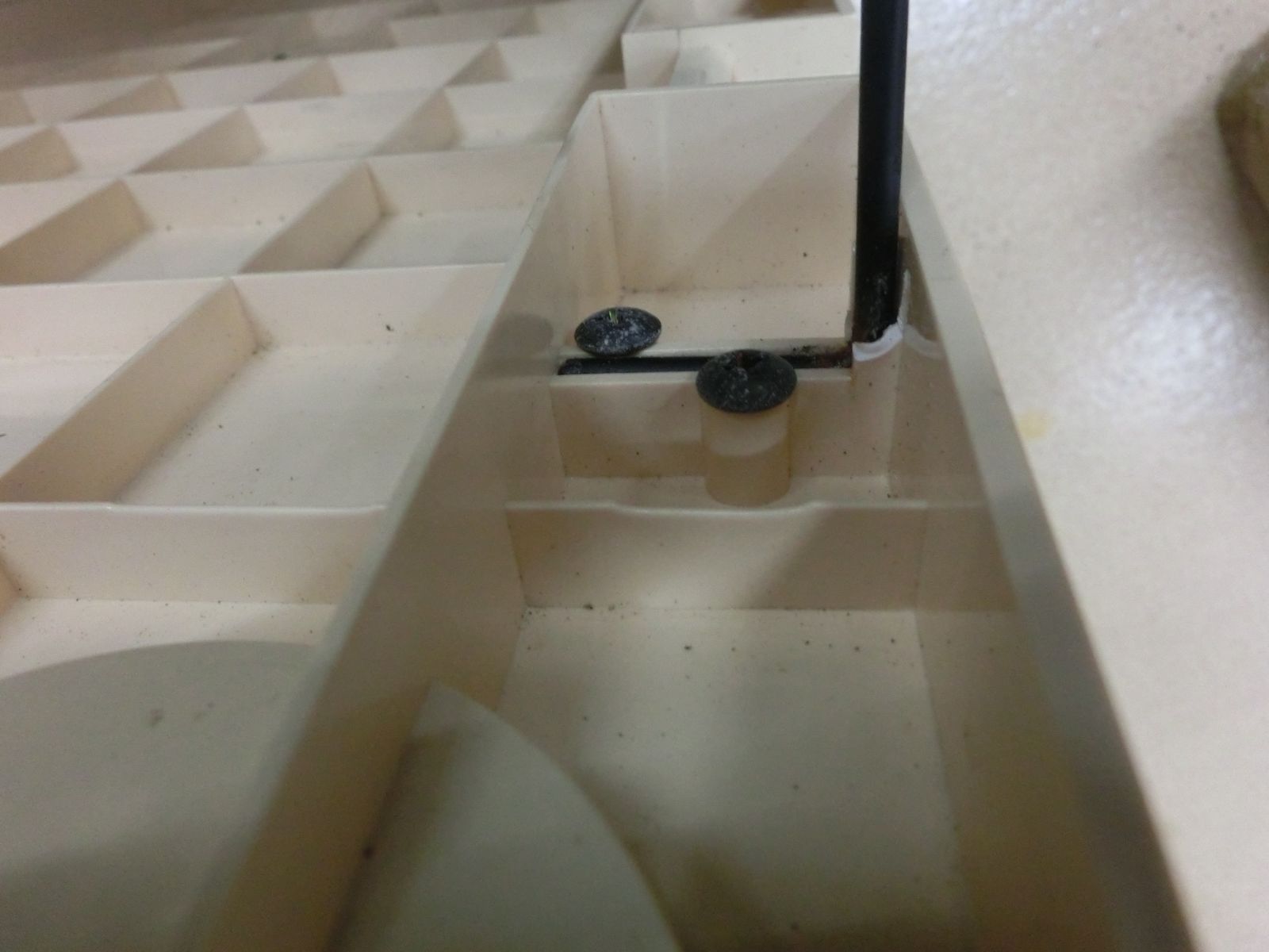 Coleman コールマン