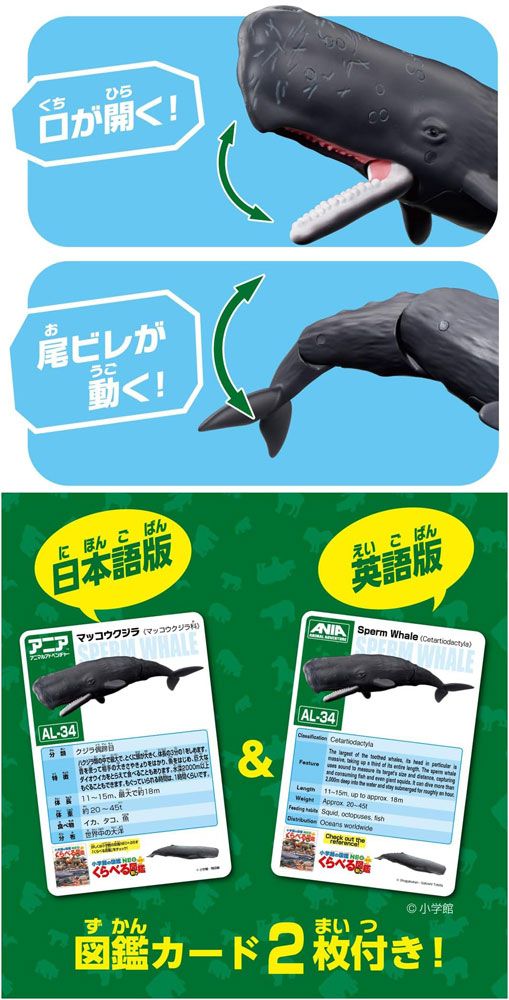 新品】 アニア AL-34 マッコウクジラ (水に浮くVer.) - メルカリ