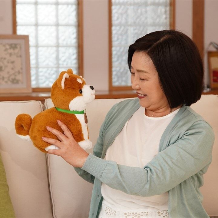 沖縄 北海道 離島は除く パートナーズ 音声認識人形 こんにちワン しばいぬコウタバンダナ付きセット おしゃべりパートナー