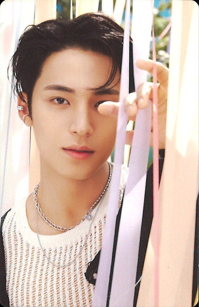 SEVENTEEN HEAVEN トレカ MINGYU ミンギュ s-l1200.jpg