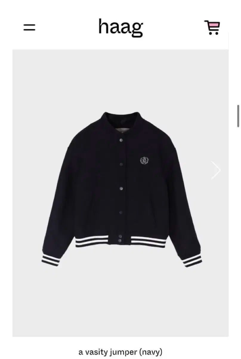 ヘイグ スタジャン ジャケット Free