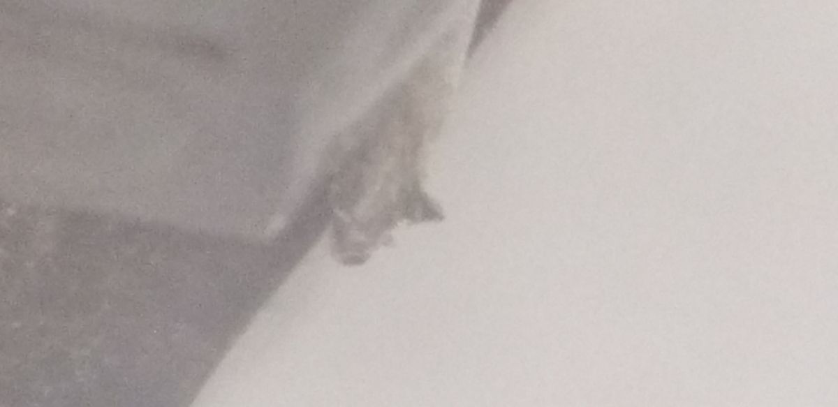 Stantonn スタントン 400 v 3 MM Cartridge カートリッジ 200 ミキサーケーブル カポタスト