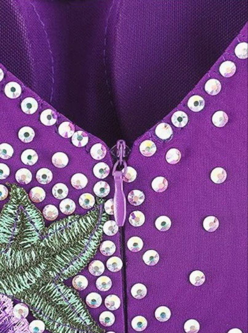 豪華ストーン付きスタンダードドレス 競技会や発表会、デモにも