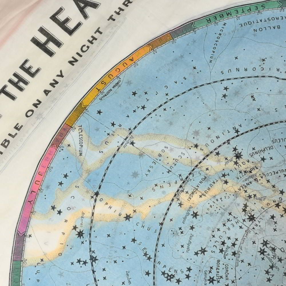 天球図 コットン