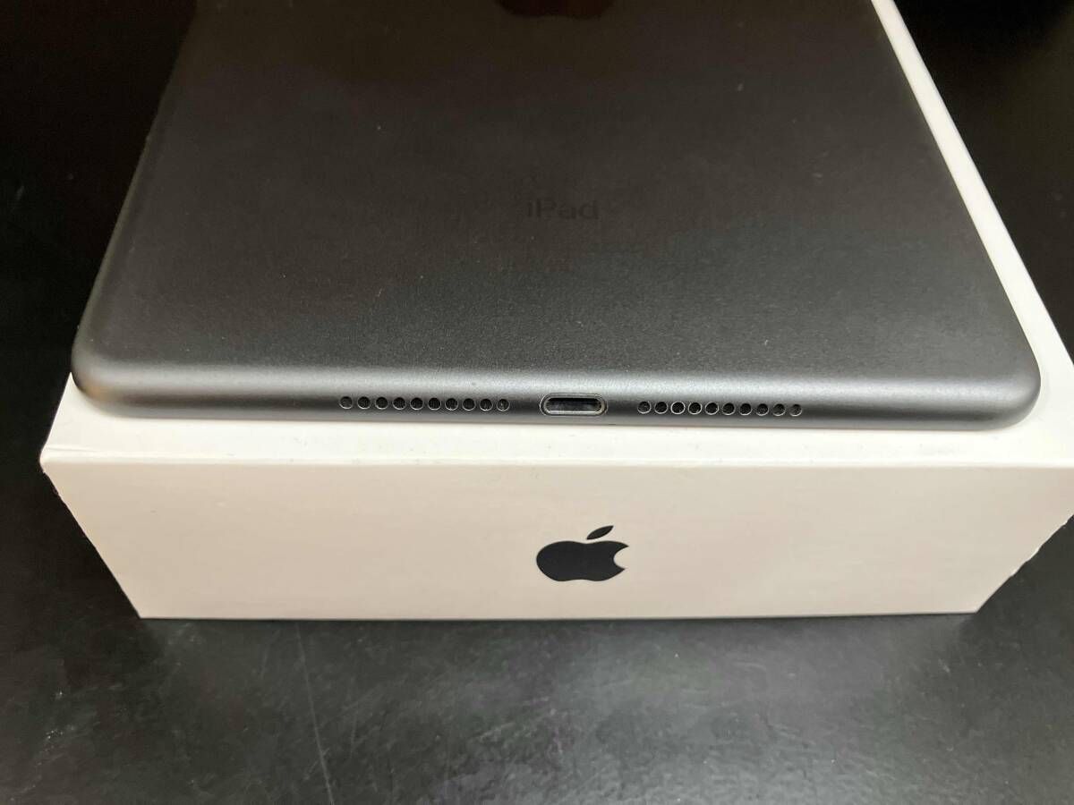 MUXC 2 J A iPad mini Wi-Fi Cellular 256 GB スペｰスグレイ au