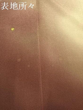 訪問着 霞箔散らし