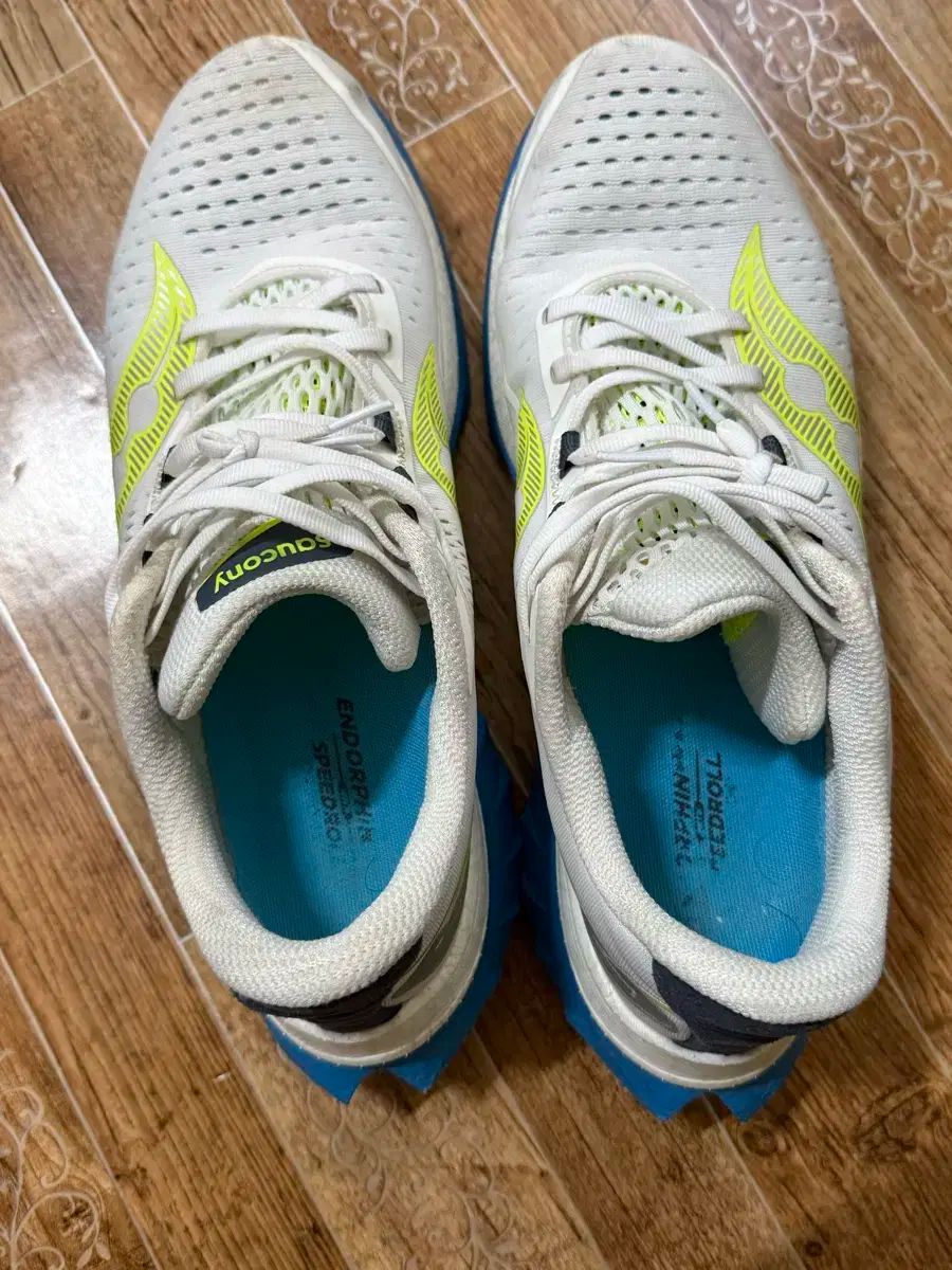 機能的 サッカニー エンドルフィン スピード4 ランニングシューズ 280mm 幸運