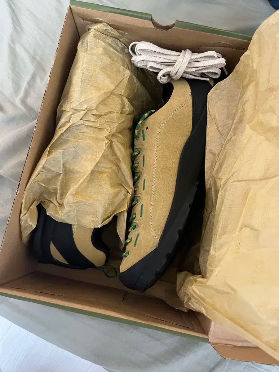 290 KEEN キーン ジャスパー イグアナ