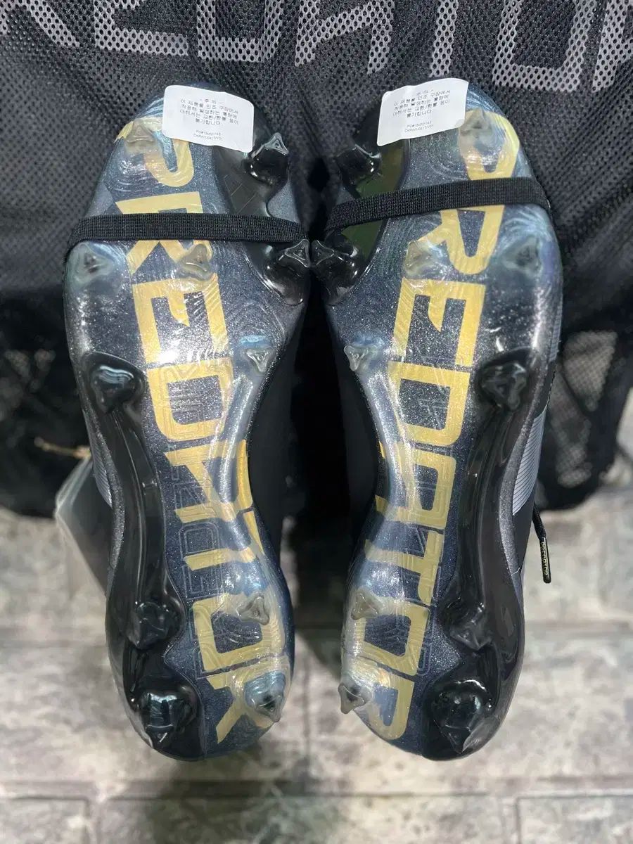 プレデター エリート