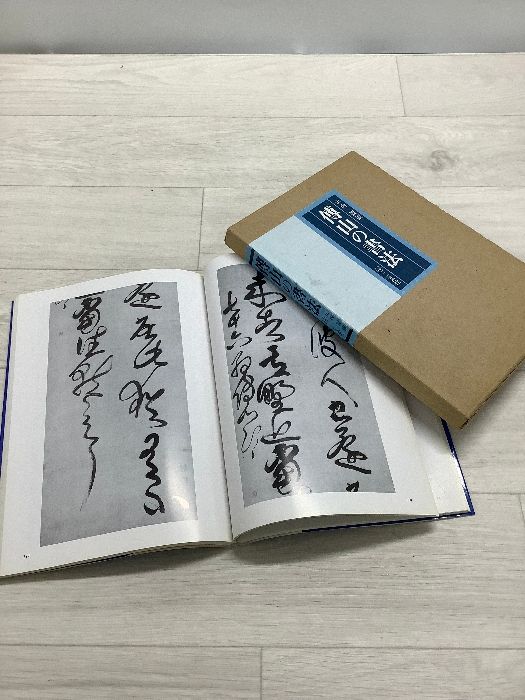 傅山の書法 山内観 編 二玄社 傅山の書法 伝山の書法 傳山の書法 傅山