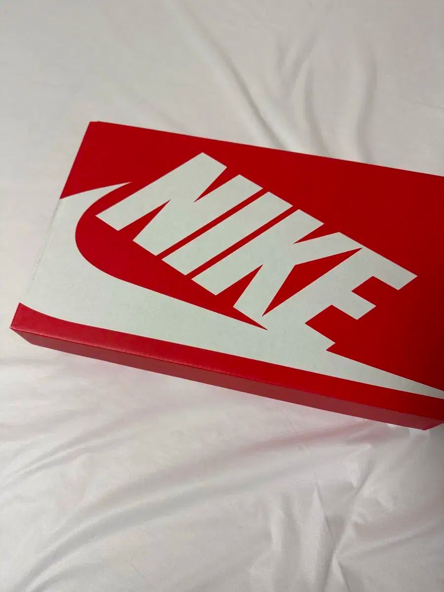 ナイキ ショックスR4 サイズ250