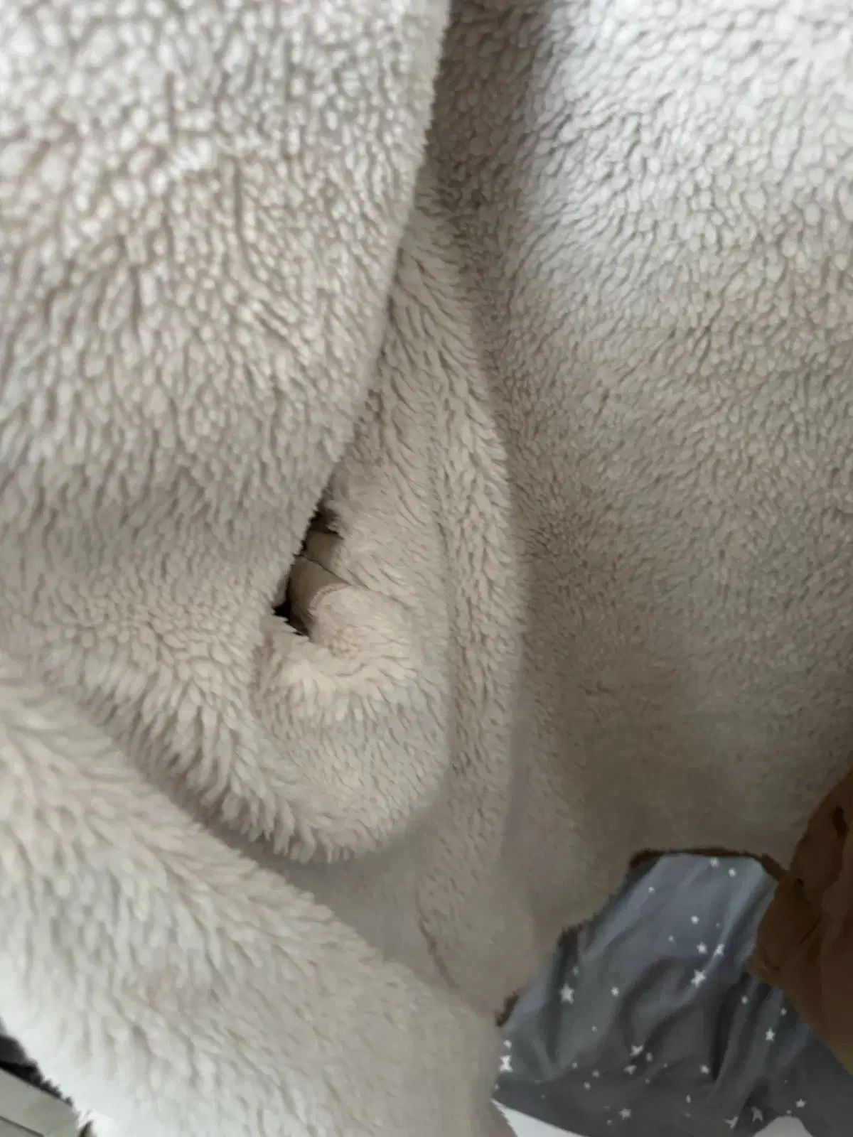 STUSSY シェルパ ル ウォーク シャツ