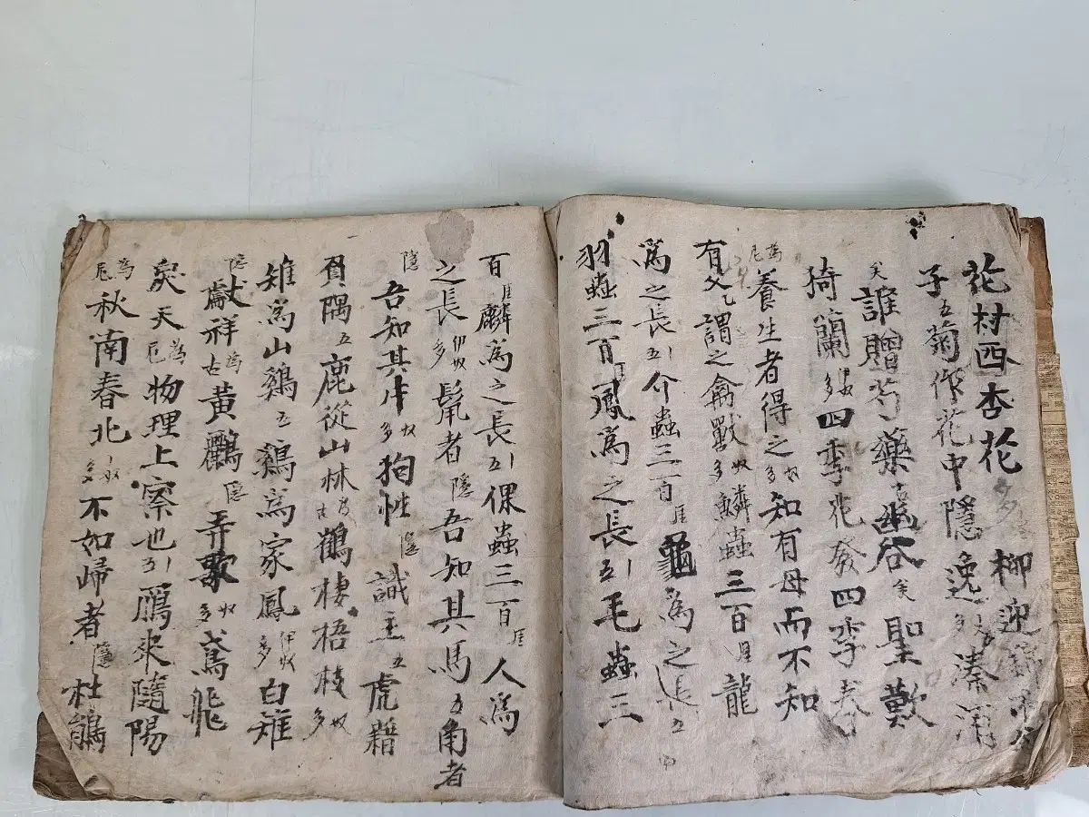 ビンテージ本 手稿