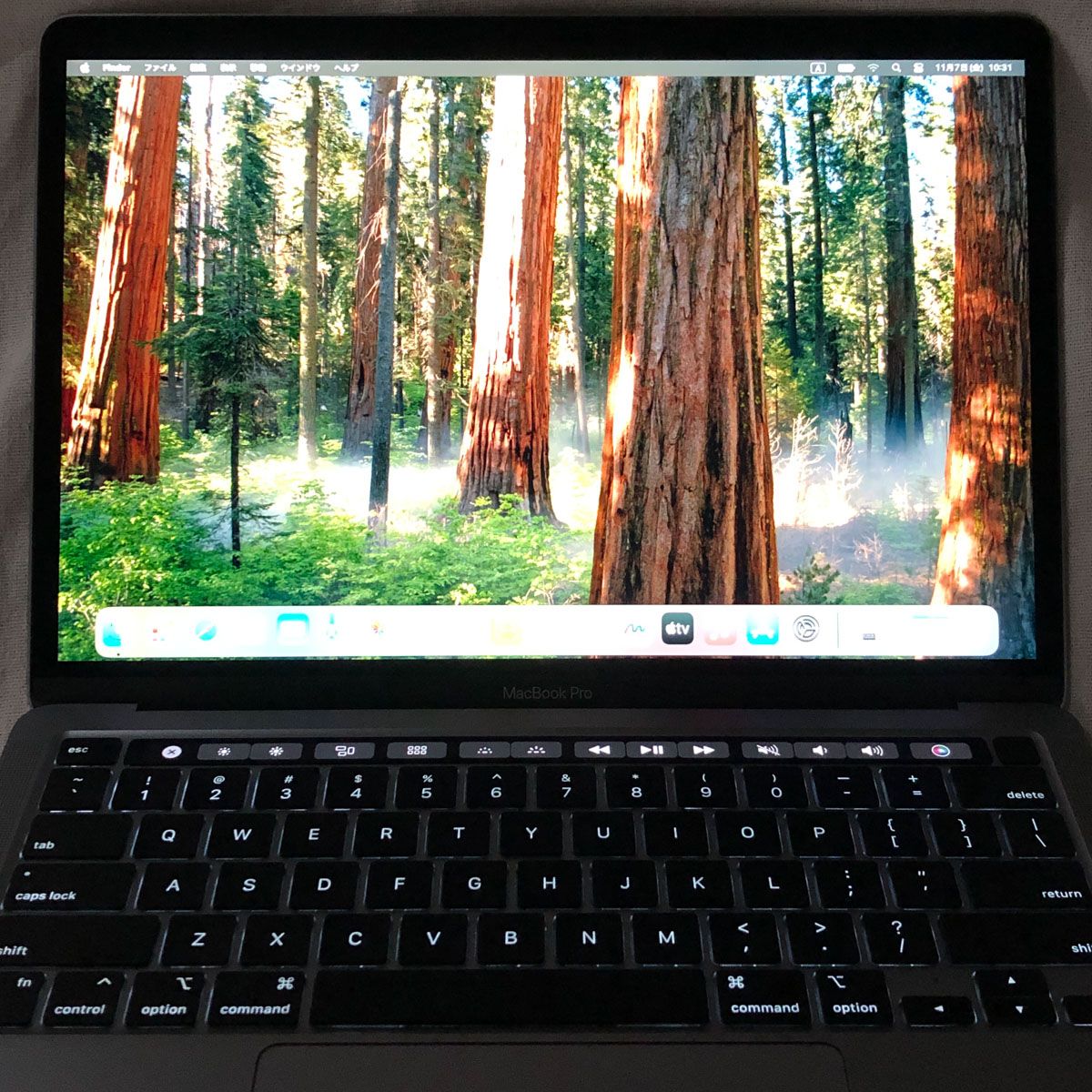 本体のみ】Apple MacBook Pro (13インチ M2 2022) 【M2チップ・24GB