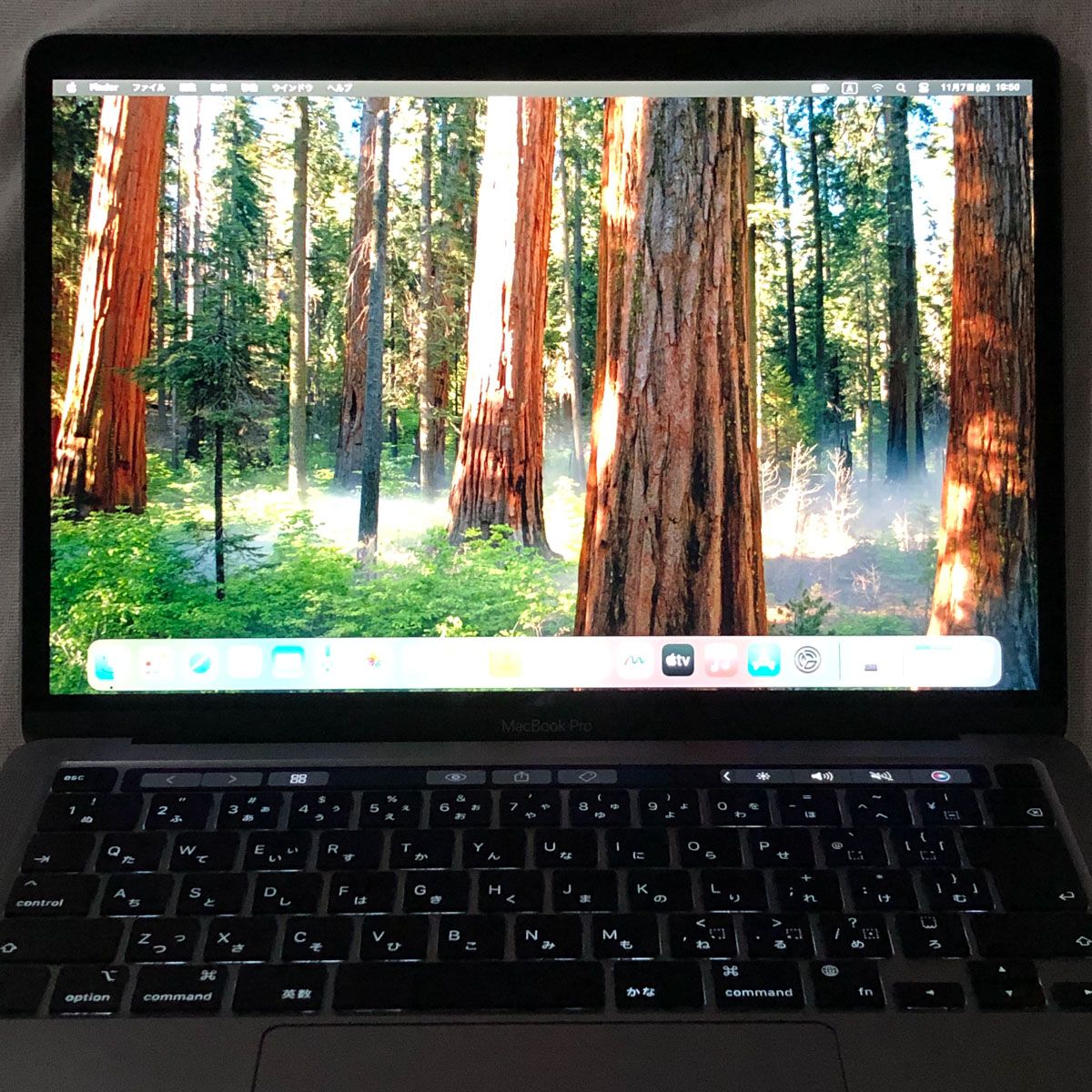 本体のみ】Apple MacBook Pro (13インチ M2 2022) 【M2チップ・24GB