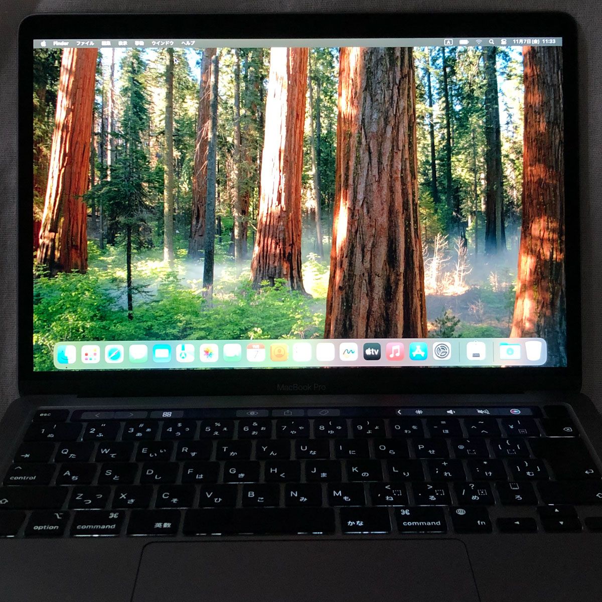 本体のみ】Apple MacBook Pro (13インチ M2 2022) 【M2チップ・16GB