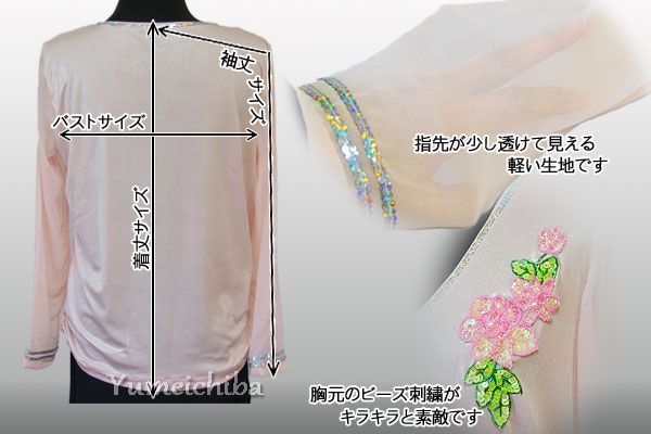  ダンス トップス 練習着 カットソー サーモンピンク 長袖 シースルートップスフ 袖 肌隠し セクシー インナー 透け感 レッスン着 社交ダンス 舞台衣装 韓国舞踊 舞踊 レッスン 服 レディース ストレッチ素材 Ｖ襟 ラウンドネック M L その他 社交ダンス