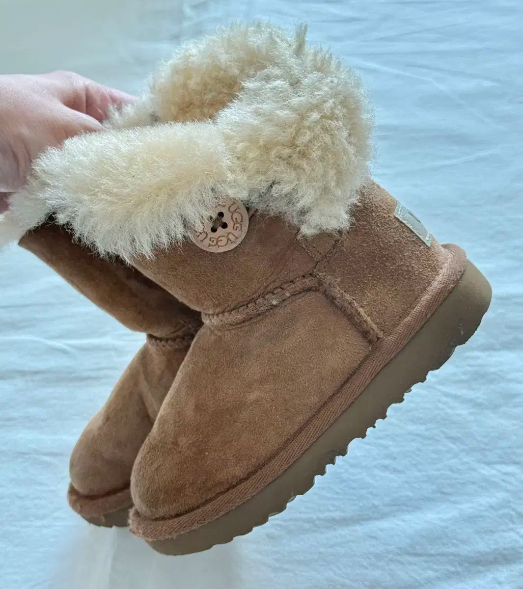 アメリカアグ トドラー ベイリーボタン7 145 mm