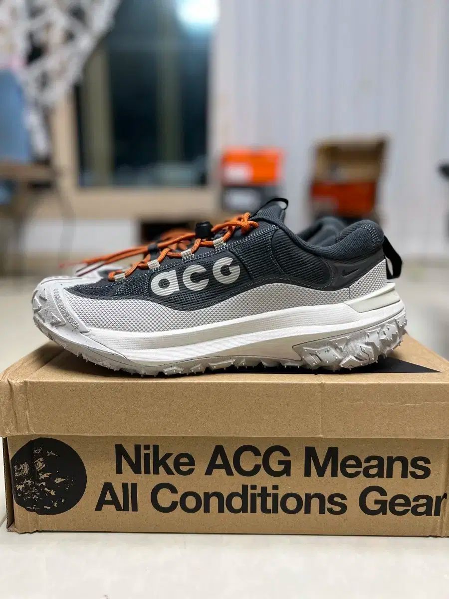ナイキ ACG マウンテン フライ 2 ロー 270