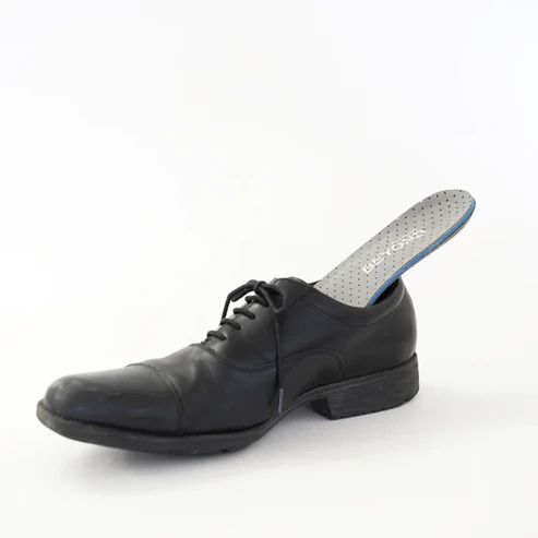 WILDBEAR アシタフ ビヨンド