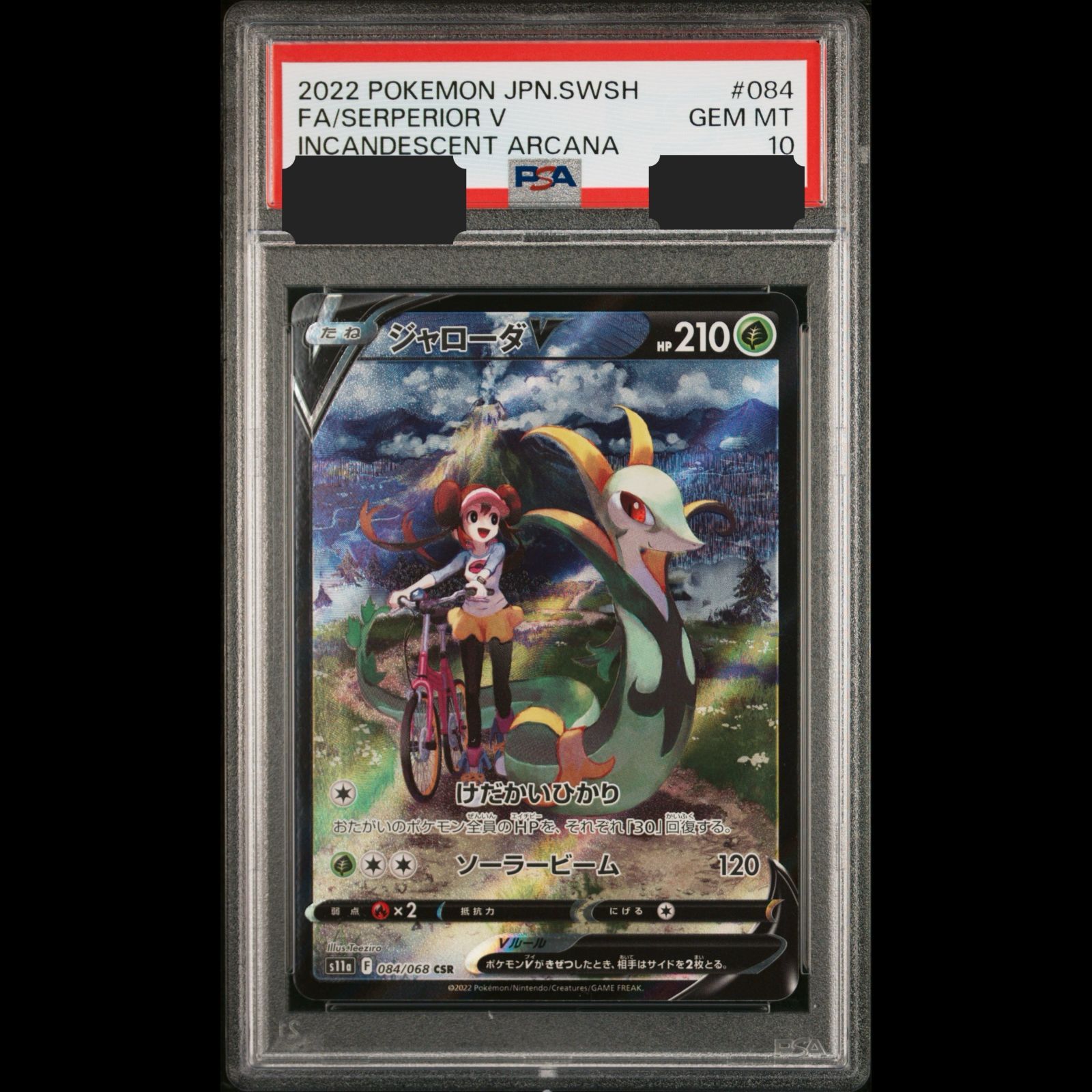 ジャローダv csr psa10 PSA10 ジャローダV CSR メイ SERPERIOR V PSA10