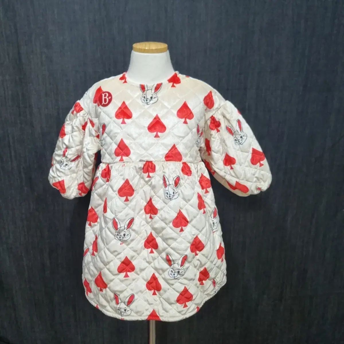 1台限定　特注サイズ　鳥かご用アウターケース　ホーエイ・ミニマルランド等に ショップ 1台限定 特注サイズ 鳥かご用アウターケース ホーエイ