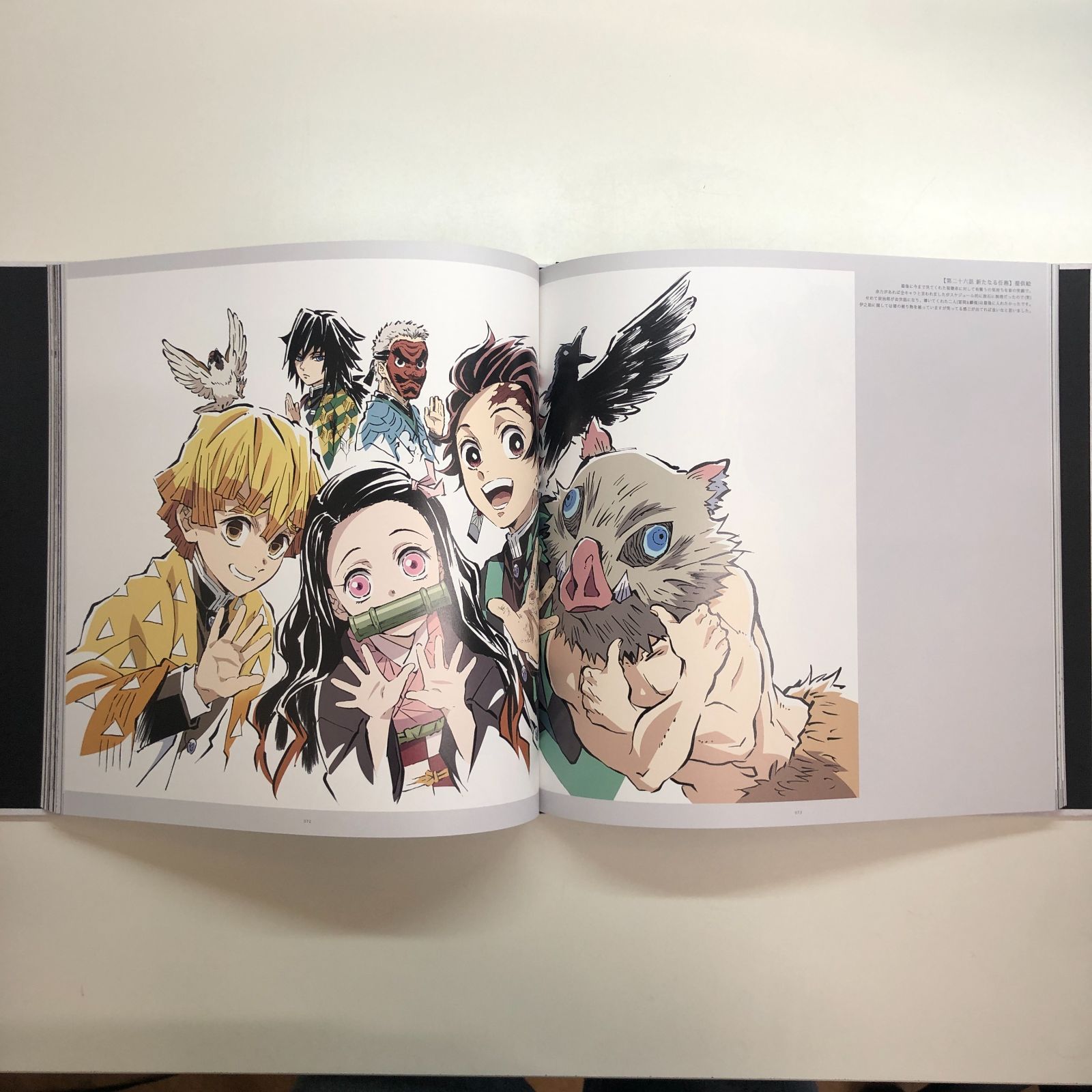 N]鬼滅の刃 竈門炭治郎 立志編 幕間画集 豪華版 - メルカリ