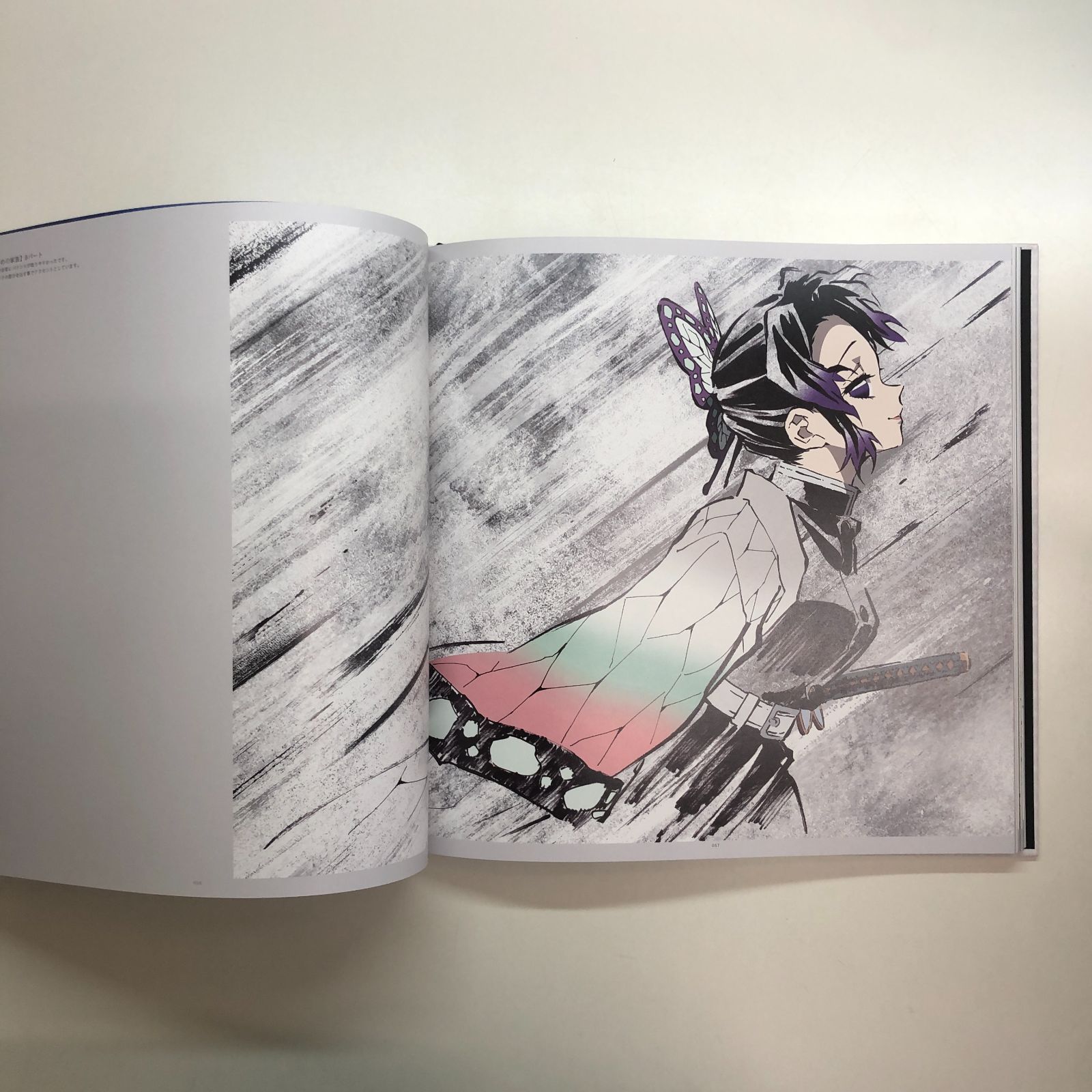 N]鬼滅の刃 竈門炭治郎 立志編 幕間画集 豪華版 - メルカリ