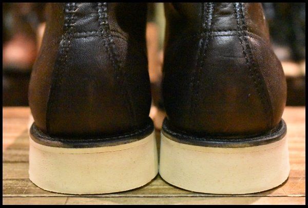 アイリッシュセッター