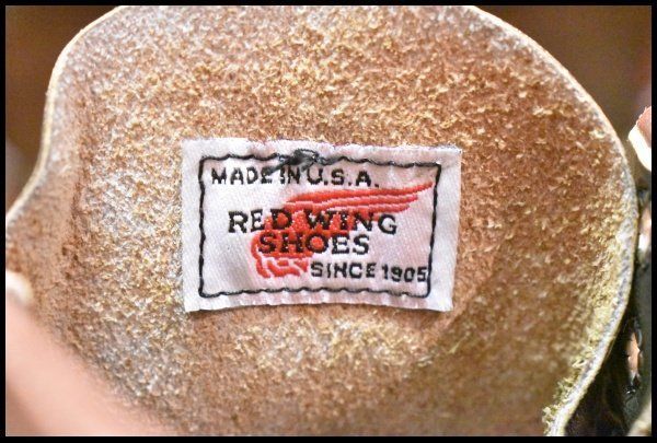 アイリッシュセッター 緑