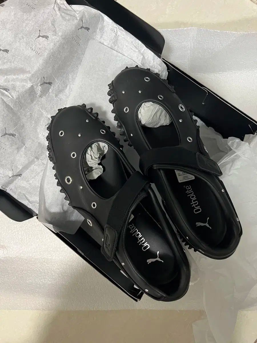 プーマ モストロ ペイ スタッズ 255