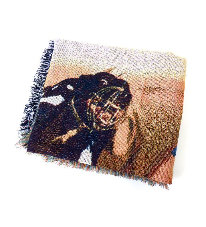 フラグスタフ F-LAGSTUF-F × ブラー blur RUG FS1873 ドッグ 柄 ラグ ブランケット 45052